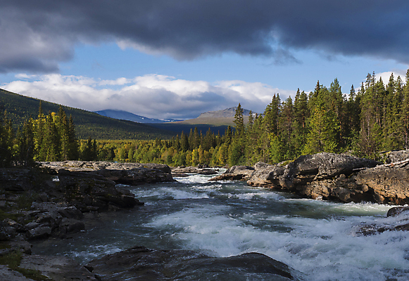 포토 JPG 해외이미지 나무 구름 여행 백그라운드 모션 자연 휴가 산 스웨덴 풍경 사람없음 야외 물 여름 파란색 강 환경 맑음 폭포 흐름 바위 개울 급류 떨어짐 숲 속도 빙하 분무기 북쪽 스칸디나비아 해외202009 해외포토 자연요소 식물 계절 컬러 컨셉 날씨 북유럽 돌_바위 방향 생태계 파일형식