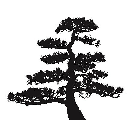 EPS 해외이미지 나무 식물 편집 디자인 실루엣 백그라운드 잎 패턴 일러스트 자연 추상 새해 미술 그래픽 장식 초록색 일본 검은색 흰색 나뭇가지 소나무 천 심볼 그림 내추럴 고립 스타일 해외202009 해외일러스트 아시아 컬러 무늬 문화예술 촬영기법 직물 생태계 파일형식 벡터