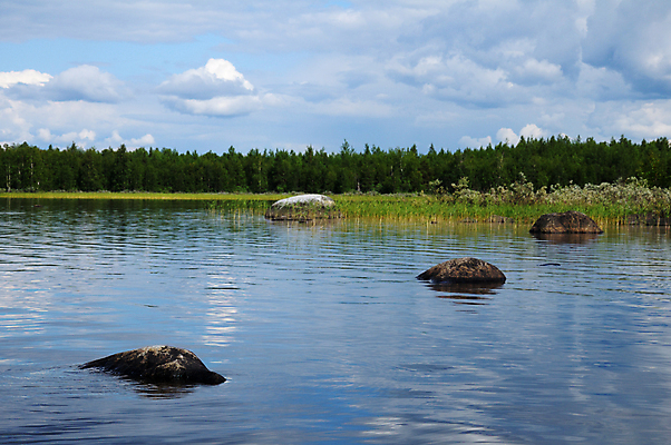 포토 JPG 해외이미지 나무 식물 구름 호수 물결 야생동물 파도 섬 자연 지팡이 하늘 날씨 갈대 풍경 사람없음 초록색 물 여름 파란색 반사 바위 나뭇가지 소나무 황무지 가장자리 숲 큼 땅 허브 장면 지역 북쪽 자작나무 수평선 해외202009 해외포토 자연요소 동물 계절 바다 컬러 돌_바위 둘레 크기 방향 생태계 파일형식
