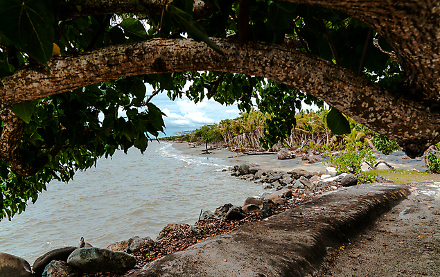 포토 JPG 해외이미지 나무 모래 파도 바다 섬 여행 백그라운드 자연 휴가 건조 손바닥 풍경 사람없음 야외 물 여름 파란색 모래사장 태양 검은색 사막 덮개 바위 만 내추럴 해외202009 해외포토 자연요소 식물 손 계절 컬러 뚜껑 돌_바위 생태계 파일형식