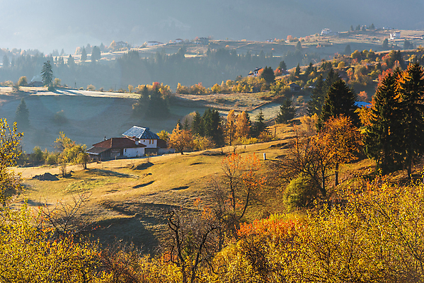 포토 JPG 해외이미지 나무 식물 계절 실루엣 유럽 여행 백그라운드 자연 아침 산 풍경 초원 사람없음 야외 초록색 빛 햇빛 태양 마을 일출 환경 맑음 안개 가을 시골 숲 언덕 장면 내추럴 불가리아 뿌연 해외202009 해외포토 주간 자연요소 나라 컬러 날씨 촬영기법 노을 생태계 파일형식 남유럽