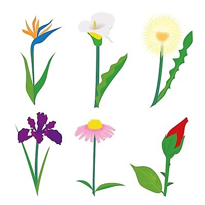 EPS 해외이미지 나무 식물 계절 공원 꽃잎 꽃 줄기 잎 꽃무늬 일러스트 자연 해바라기 장식 농장 장미 쌓기 환경 봄 성장 벚꽃 나뭇가지 시골 신선 다발 허브 심볼 사인 에코 유기농 꽃가루 거베라 내추럴 생태학 절정 해외202009 해외일러스트 웰빙 공공시설 교육 무늬 농업 모션 가루 생태계 파일형식 벡터