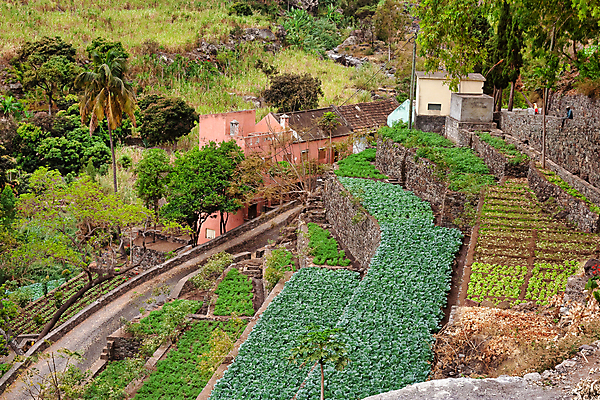 포토 JPG 해외이미지 바다 섬 여행 요트 아프리카 자연 하늘 낚시 휴가 휴식 산 항해 따뜻함 파노라마 어업 사람 풍경 사람없음 물 여름 파란색 컬러풀 햇빛 마을 항구 일몰 수확 만 보트 망토 낚시꾼 포트 이력서 대서양 다도해 해외202009 해외포토 자연요소 계절 나라 산업 컬러 컨셉 농업 배_교통 교통시설 레저 촬영기법 태양 노을 생태계 파일형식