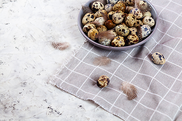 포토 JPG 해외이미지 전통 디자인 계절 행복 음식 백그라운드 컨셉 패턴 재료 자연 조류 휴가 부활절 건강 사람없음 장식 농장 갈색 우주 축제 치킨 봄 회색 수확 흰색 시골 축하 그룹 플랫 둥지 작음 먹기 심볼 깃털 유기농 질감 부활절계란 내추럴 메추리 콘크리트 해외202009 해외포토 동물 웰빙 기념일 감정 컬러 무늬 농업 모션 계란 크기 생태계 닭고기요리 파일형식