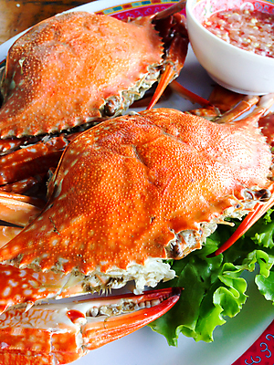 포토 JPG 해외이미지 음식 다이어트 건강 요리 사람없음 식사 게 신선 먹기 영양분 위생관리 화상 해외202009 해외포토 모션 관리 갑각류 상처 파일형식