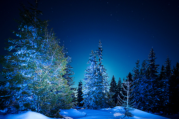 포토 JPG 해외이미지 나무 계절 별 과학 백그라운드 겨울 자연 하늘 스키 불꽃 휴식 산 풍경 사람없음 야외 파란색 빛 태양 우주 일출 환경 어둠 꿈 야간 숲 달빛 언덕 코스모스 서리 은하계 장면 점성술 공상 마법 전나무 별빛 깊이 해외202009 눈덮임 해외포토 자연요소 식물 꽃 컬러 컨셉 불 겨울스포츠 노을 달 생태계 파일형식