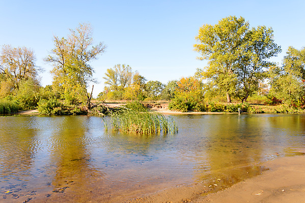 포토 JPG 해외이미지 나무 계절 호수 자연 하늘 아침 갈대 풍경 사람없음 초록색 물 여름 파란색 강 햇빛 태양 반사 일출 맑음 봄 가을 연못 숲 백합 우크라이나 해외202009 해외포토 주간 자연요소 식물 꽃 유럽 컬러 날씨 노을 생태계 파일형식