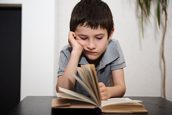 포토 JPG 해외이미지 백인 1 학생 응시 교육 남자 행복 얼굴 어린이 백그라운드 학교 수업 주택 실내 이야기 한명 미소 사람 앉기 소년 책 학습 스터디 청춘 독서 흰색 읽기 싱글 문학 고립 초보 혼자 해외202009 해외포토 서양인 시선 감정 컬러 컨셉 모션 표정 내부 건물 신체부위 파일형식