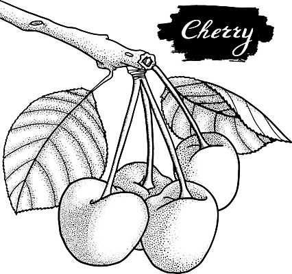 EPS 해외이미지 식물 열매 선 음식 조각 백그라운드 잎 다이어트 과일 일러스트 자연 디저트 건강 미술 그래픽 여름 세트 정원 수확 흰색 신선 체리 달콤 맛 낙서 심볼 오브젝트 그림 유기농 복고 윤곽 손그림 판화 비타민 내추럴 고립 숙성 엘리먼트 채식주의자 맛있는 해외202009 해외일러스트 웰빙 계절 컬러 컨셉 농업 문화예술 생태계 채식 영양소 파일형식 벡터