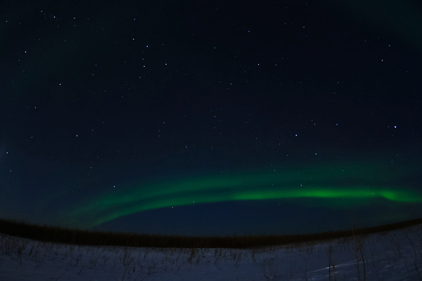 포토 JPG 해외이미지 나무 별 지구 여행 겨울 모션 자연 하늘 바람 전등 스웨덴 협상 풍경 사람없음 초록색 빛 반사 우주 어둠 새벽 거울 추위 야간 북극 언덕 서리 러시아 청록색 천문학 북쪽 오로라 현상 눈내림 해외202009 해외포토 자연요소 식물 계절 교육 유럽 컬러 비즈니스 자연현상 날씨 조명 눈_날씨 북유럽 극지방 방향 생태계 파일형식