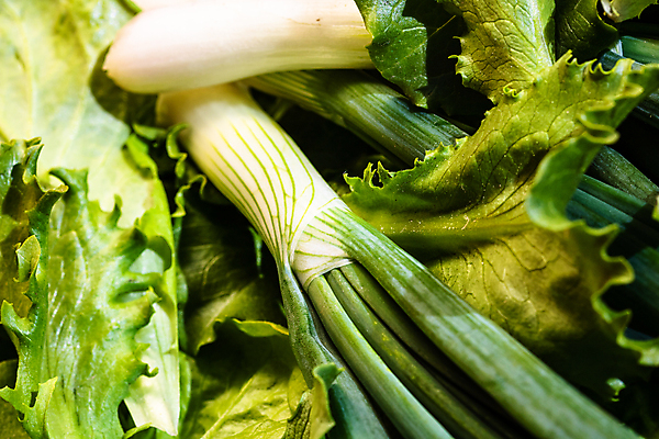 포토 JPG 해외이미지 무료이미지 음식 백그라운드 잎 다이어트 채소 재료 자연 양파 건강 요리 사람없음 초록색 주방 봄 샐러드 흰색 신선 그룹 다발 먹기 유기농 원예 날것 내추럴 고립 숙성 채식주의자 해외202009 해외202105 해외포토 식물 웰빙 계절 컬러 모션 취미 생태계 채식 파일형식