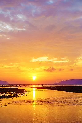 포토 JPG 해외이미지 나무 구름 모래 파도 바다 섬 여행 잎 태국 자연 하늘 휴가 휴식 파노라마 손바닥 풍경 사람없음 야외 건물 물 여름 파란색 태양 수영 봄 전원 서핑 고급 오두막 휴양지 석호 몰디브 이국적 파라다이스 해외202009 해외포토 자연요소 식물 건축물 손 계절 아시아 컬러 컨셉 촬영기법 장소 수상스포츠 전기에너지 생태계 파일형식