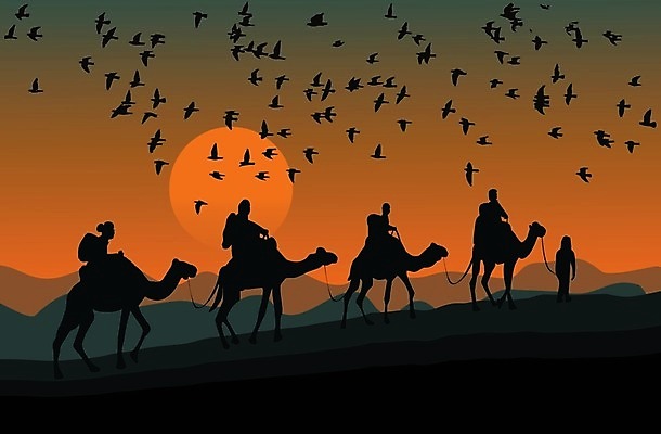 EPS 해외이미지 동물 전통 남자 실루엣 문화 모래 여행 백그라운드 오렌지 일러스트 자연 조류 하늘 휴가 산 사람 풍경 야외 여름 태양 일출 검은색 일몰 새벽 사막 뜨거움 4 그룹 승차 야간 모래언덕 사파리 언덕 윤곽 장면 낙타 라이더 서쪽 해외202009 해외일러스트 자연요소 계절 컬러 과일 포유류 모션 촬영기법 숫자 노을 방향 생태계 파일형식 벡터