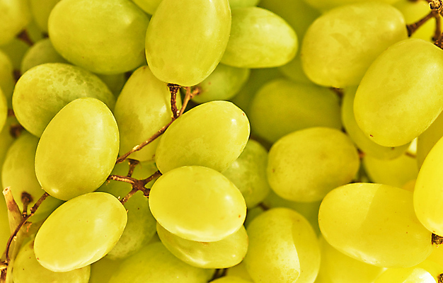 포토 JPG 해외이미지 무료이미지 디자인 계절 열매 포스터 백그라운드 다이어트 과일 포도 디저트 건강 사람없음 초록색 여름 파란색 햇빛 라벨 와인 가을 신선 다발 질감 포도나무 패키지 고립 구성 숙성 영양분 채식주의자 비건 해외202009 해외202105 해외포토 식물 음식 컬러 프레임 주류 태양 과일나무 채식 파일형식