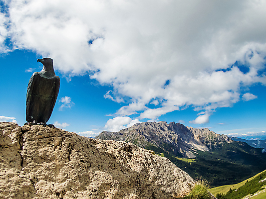 포토 JPG 해외이미지 무료이미지 스포츠 자연 휴가 산 사람없음 야외 여름 이탈리아 등산 트래킹 하이킹 바위 왕 오르기 알프스 참새 천국 남쪽 추적 산악가 해외202009 해외202105 해외포토 계절 유럽 모션 조류 레저 방향 생태계 파일형식 무료콘텐츠