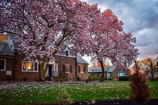 포토 JPG 해외이미지 모델 꽃 가정 가족 자연 성공 지붕 주택 풍경 잔디 사람없음 야외 초록색 반사 문 희망 봄 조약돌 체리 재산 큼 땅 입장 주인 대출 건축업자 교외 진짜 파라다이스 해외202009 해외포토 식물 계절 건축 감정 컬러 컨셉 과일 관계 건물 금융 돌_바위 크기 생태계 파일형식