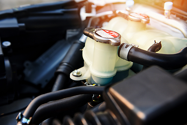 포토 JPG 해외이미지 손 산업 부분 교통시설 자동차 새로움 사람없음 물 금속 힘 기계 블록 에너지 벨트 흰색 업무 액체 수리 닫기 철 묘사 서비스 전염 연료 시스템 엔진 정비공 공학 모터 유지 디젤 라디에이터 자동 철강 해외202009 해외포토 자연요소 잡화 교육 육상교통 컬러 교통 컨셉 모션 재질 신체부위 작업 기술자 질병 시설 감염 파일형식