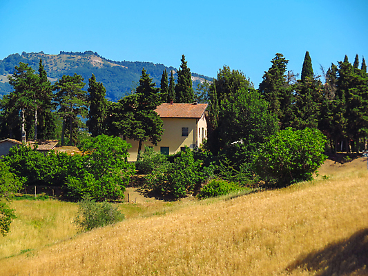 포토 JPG 해외이미지 나무 여행 밭 농업 자연 하늘 주택 풍경 초원 사람없음 야외 건물 초록색 여름 농가 농장 평화 이탈리아 전원 시골 빌라 언덕 해외202009 해외포토 식물 건축물 계절 유럽 산업 컬러 컨셉 전기에너지 생태계 파일형식