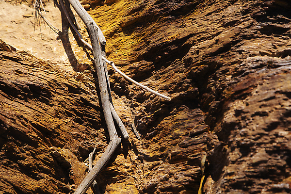 포토 JPG 해외이미지 유럽 산업 백그라운드 오렌지 자연 풍경 사람없음 야외 목재 빨간색 물 강 컬러풀 노란색 와인 기계 물방울 나뭇가지 개울 스페인 철 발굴 구리 안달루시아 화학물질 해외202009 해외포토 자연요소 나무 나라 컬러 과일 재료 주류 원소 화학 생태계 파일형식