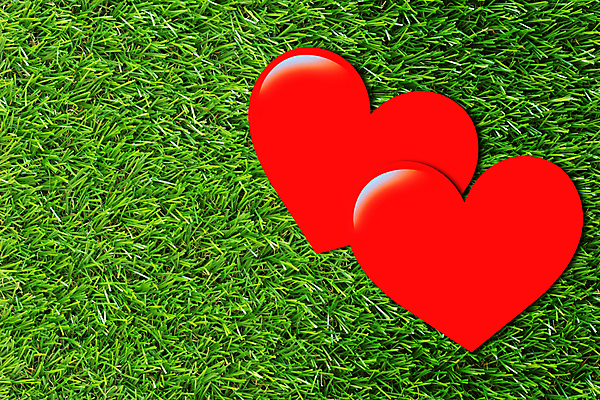 포토 JPG 해외이미지 모양 디자인 커플 감정 종이 결혼 백그라운드 컨셉 2 관계 자연 결혼식 추상 휴가 발렌타인데이 이야기 선물 사랑 미술 잔디 사람없음 빨간색 초록색 여름 우주 낭만 수확 가을 하트 마음 축하 떨어짐 심볼 사인 그림 질감 복고 기회 열정 해외202009 해외포토 식물 계절 컬러 무늬 농업 데이이벤트 문화예술 이벤트 생태계 파일형식