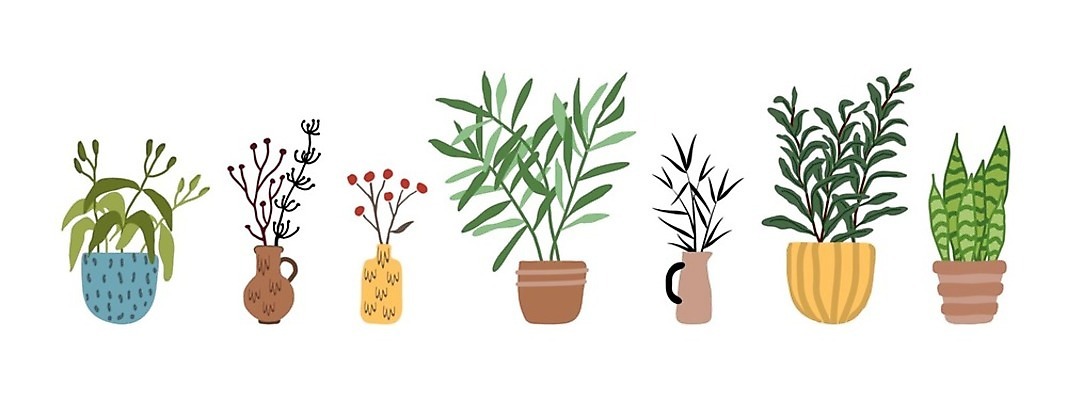 EPS 해외이미지 식물 손 디자인 열매 꽃 화분 화초 잎 꽃무늬 일러스트 선인장 주택 건조 실내 미술 내부 장식 초록색 세트 컬러풀 꽃병 흰색 도자기 플랫 낙서 냄비 만화 수집 원예 내추럴 고립 심기 엘리먼트 스타일 해외202009 해외일러스트 컬러 무늬 모션 문화예술 취미 건물 신체부위 솥 파일형식 벡터