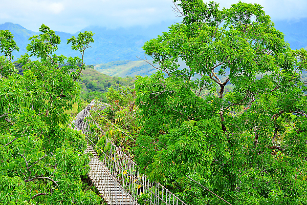 포토 JPG 해외이미지 아시아 밧줄 여행 자연 매달리기 사람없음 힘 산책 섬유 긴장 통과 방법 해외202009 해외포토 감정 나라 줄 모션 휴식 직물 생태계 파일형식