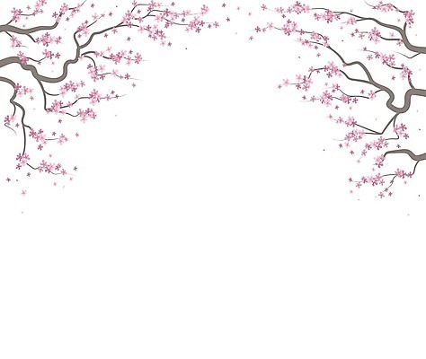 EPS 해외이미지 꽃잎 꽃 일러스트 사람없음 벚꽃 나뭇가지 해외202009 해외일러스트 나무 식물 파일형식 벡터