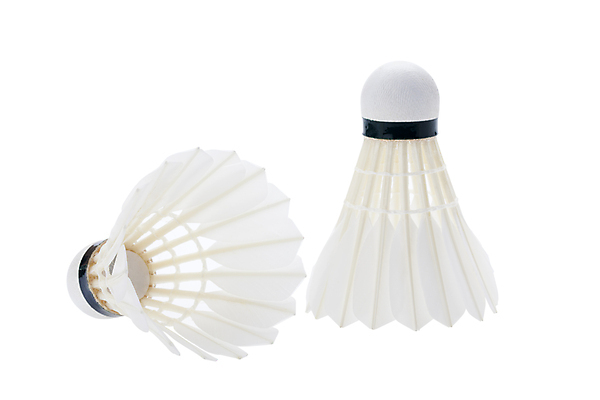 포토 JPG 해외이미지 무료이미지 직업 길 줄 클리핑패스 스포츠 포즈 백그라운드 공 놀이 실내 경기 사람없음 컵 경쟁 공연 장비 게임 흰색 라켓 깃털 오브젝트 배드민턴 수탉 고립 토너먼트 플레이어 해외202009 해외202105 해외포토 식기 스포츠용품 컬러 컨셉 이벤트 내부 구기 닭 수컷 파일형식 무료콘텐츠