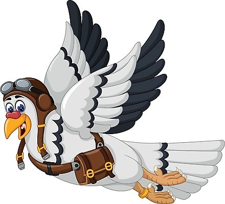 EPS 해외이미지 동물 모자 행복 야생동물 어린이 백그라운드 날개 일러스트 포유류 자연 조류 동물원 종류 미소 웃음 컬러풀 갈색 노란색 검은색 흰색 헬멧 만화 사파리 깃털 만족 비둘기 심플 코믹 동물상 마스코트 캡모자 해외202009 우호적 해외일러스트 모자_잡화 잡화 감정 컬러 컨셉 표정 사람 조형물 보호장비 생태계 파일형식 벡터