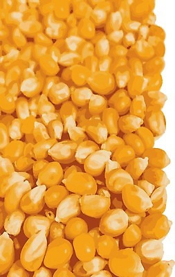 EPS 해외이미지 식물 음식 백그라운드 농업 다이어트 채소 일러스트 재료 자연 건조 건강 옥수수 씨앗 초록색 세트 농장 노란색 수확 성장 가을 흰색 신선 황금 달콤 낟알 시리얼 먹기 묘사 유기농 질감 알맹이 날것 귀 팝콘 통조림 흙더미 내추럴 고립 바이오 채식주의자 팝 해외202009 해외일러스트 웰빙 계절 산업 컬러 모션 곡류 신체부위 흙 맛 생태계 채식 파일형식 벡터 더미