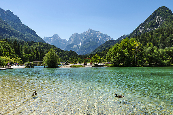포토 JPG 해외이미지 나무 유럽 호수 모래 여행 백그라운드 자연 하늘 산 파노라마 풍경 사람없음 초록색 물 여름 파란색 태양 반사 여행객 맑음 바위 정상 숲 알프스 마법 면도기 슬로베니아 절정 해외202009 해외포토 자연요소 식물 계절 나라 컬러 날씨 촬영기법 사람 위생용품 돌_바위 생태계 파일형식