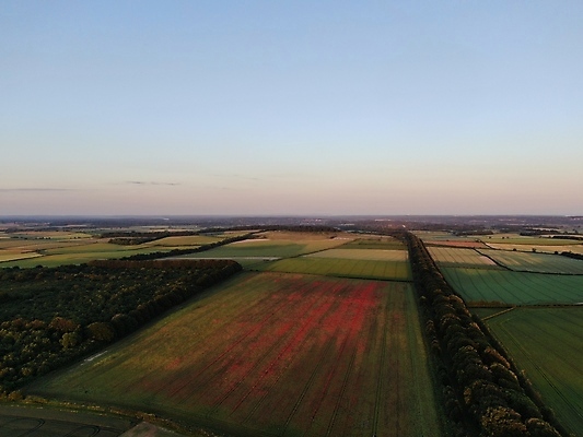 포토 JPG 해외이미지 영국 안테나 풍경 사람없음 빨간색 초록색 황혼 시골 양귀비 드론 해외202009 해외포토 꽃 유럽 컬러 통신 일몰 파일형식