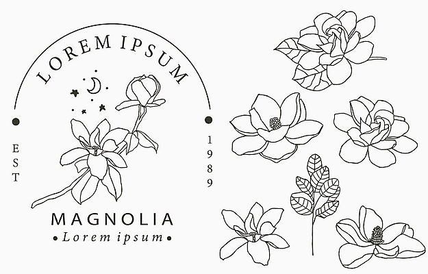 포토 JPG 해외이미지 식물 아이콘 디자인 꽃 선 꽃다발 결혼 잎 일러스트 장신구 자연 추상 사랑 사람없음 그래픽 장식 화환 화장품 공백 수확 시골 우아함 상품 스케치 수집 문신 심볼 오브젝트 사인 그림 유기농 심플 윤곽 목련 내추럴 돌봄 얇은 엘리먼트 모노그램 세련 미니멀 해외202009 해외포토 웰빙 감정 컨셉 무늬 농업 모션 미술 이벤트 뷰티 생태계 파일형식