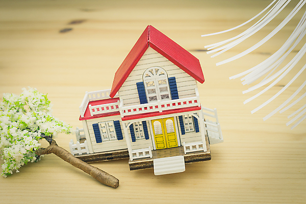 포토 JPG 해외이미지 나무 컨셉 비즈니스 바람 주택 안전 사람없음 건물 믿음 손상 비밀 보안 폭풍 보험 낭비 돌봄 분실 재앙 타격 헬프 해외202009 해외포토 자연요소 식물 건축물 감정 모션 날씨 도움 파일형식