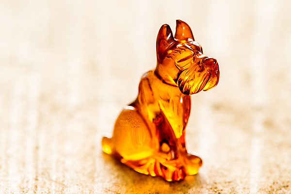 포토 JPG 해외이미지 자연 사람없음 빛 주황색 투명 보석 화석 앰버 해외포토 컬러 광석 생태계 파일형식