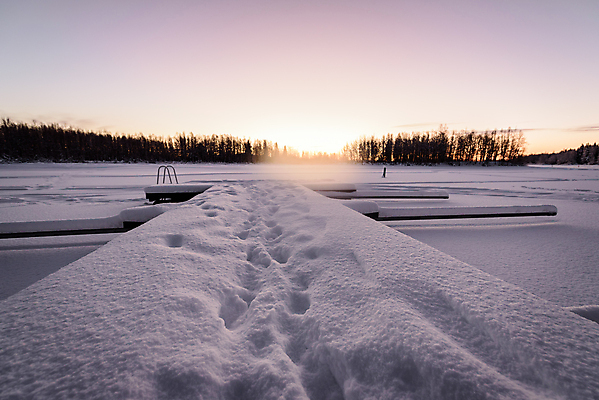 포토 JPG 해외이미지 나무 공원 꽃 실루엣 호수 바다 백그라운드 크리스마스 겨울 패턴 오렌지 자연 하늘 아침 날씨 새로움 산 핀란드 풍경 사람없음 야외 목재 파란색 강 태양 일출 환경 보라색 냉동 얼음 일몰 추위 흰색 나뭇가지 소나무 숲 12월 전나무 눈보라 양발 전국 해외202009 해외포토 주간 자연요소 식물 계절 공공시설 기념일 컬러 컨셉 무늬 과일 재료 눈_날씨 촬영기법 북유럽 노을 날짜 생태계 파일형식