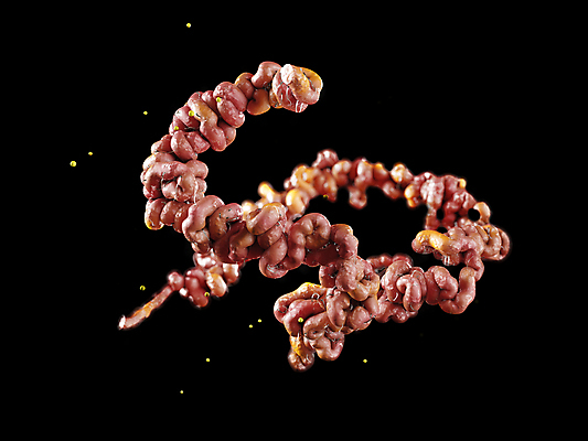 포토 JPG 해외이미지 과학 일러스트 생물 세포 나선형 건강 현미경 실험 사람 사람없음 약 3D 고통 열 벌레 질병 공격 생물학 싸움 감염 미생물 박테리아 전염병 해외202009 해외포토 교육 감정 곤충 무늬 의학 모션 실험기구 디지털합성 파일형식