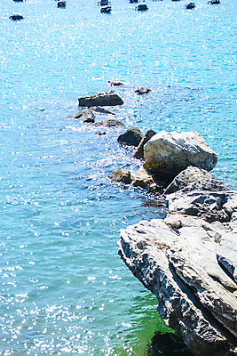 포토 JPG 해외이미지 식물 바다 백그라운드 과일 산 사람없음 모래언덕 자연백그라운드 해외202009 해외포토 자연 언덕 파일형식