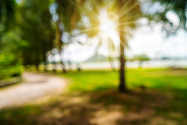 포토 JPG 해외이미지 나무 식물 디자인 계절 공원 도로 지구 여행 백그라운드 컨셉 잎 밭 자연 벽지 하늘 추상 휴식 거리 사람 풍경 초원 사람없음 야외 초록색 여름 빛 컬러풀 햇빛 태양 우주 환경 정원 산책 가을 도시 소프트포커스 숲 질감 보케 내추럴 블러 해외202009 해외포토 자연요소 공공시설 길 컬러 무늬 농업 교통시설 촬영기법 생태계 파일형식