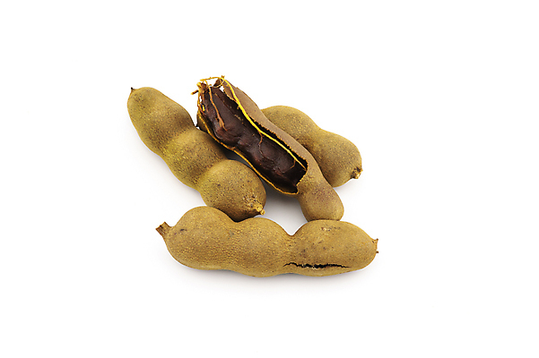 포토 JPG 해외이미지 무료이미지 음식 백그라운드 과일 재료 자연 건강 씨앗 동양인 사람없음 갈색 쌓기 흰색 신선 그룹 달콤 유기농 날것 흙더미 내추럴 고립 꼬투리 숙성 이국적 채식주의자 맛있는 해외202009 해외202105 해외포토 식물 웰빙 컬러 모션 인종 흙 맛 생태계 채식 파일형식 더미