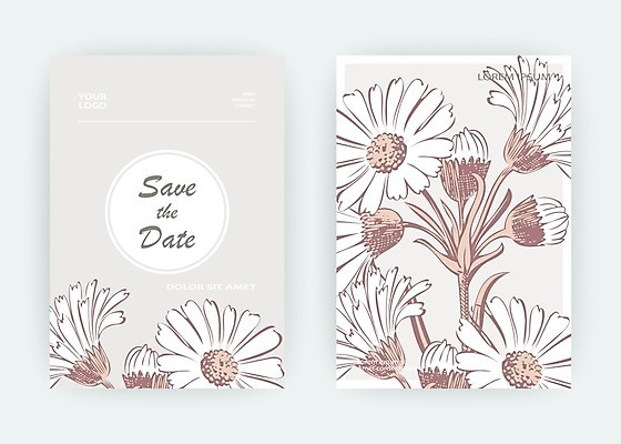 EPS 해외이미지 식물 템플릿 손 디자인 꽃 포스터 결혼 백그라운드 컨셉 꽃무늬 패턴 일러스트 자연 프레임 국화 그래픽 여름 빛 파티 유행 봄 덮개 벚꽃 흰색 인사 원형 신용카드 낙서 스케치 데이지 심플 초대 금잔화 고립 캐모마일 파스텔톤 헤딩 미니멀리스트 미니멀 국경 해외202009 해외일러스트 도형 계절 컬러 무늬 미술 이벤트 신체부위 금융 축구 뚜껑 예절 허브 생태계 파일형식 벡터