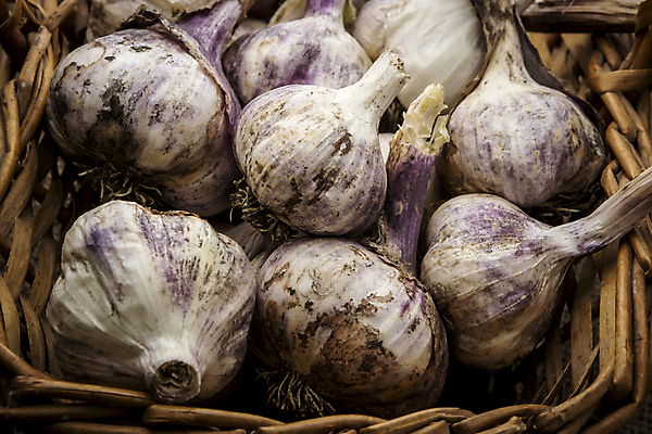 포토 JPG 해외이미지 식물 음식 백그라운드 컨셉 채소 재료 전구 부분 자연 건강 마늘 사람없음 바구니 검은색 활발 수확 껍질 흰색 신선 그룹 맛 작음 다발 향신료 오브젝트 유기농 날것 향기 아로마 뿌리 향 내추럴 고립 숙성 채식주의자 비건 해외202009 깎기 해외포토 웰빙 컬러 농업 모션 크기 생태계 채식 냄새 향미료 파일형식