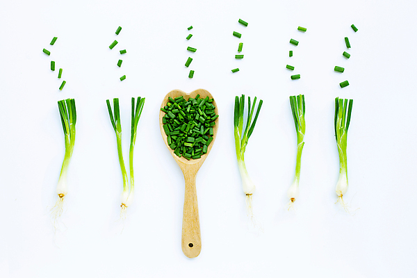 포토 JPG 해외이미지 커플 음식 백그라운드 농업 채소 가방 재료 전구 건강 마늘 요리 사람없음 초록색 농작물 수확 신선 양념 그룹 시장 맛 다발 향신료 묘사 매움 싸움 날것 향 레시피 후추 성분 동쪽 로즈메리 내추럴 식용 강황 해외202009 깎기 해외포토 잡화 산업 컬러 컨셉 식재료 관계 모션 방향 허브 향미료 파일형식