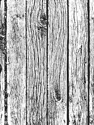 EPS 해외이미지 나무 디자인 선 벽 백그라운드 패턴 일러스트 자연 벽지 탁자 표면 날씨 추상 바닥 목재 장식 울타리 검은색 고통 수확 흰색 시골 판넬 거친 널 낟알 고민 질감 복고 덮기 잡동사니 내추럴 그런지 수목 엘리먼트 옛날 해외202009 해외일러스트 식물 감정 컬러 가구 무늬 농업 재료 모션 담장 생태계 파일형식 벡터