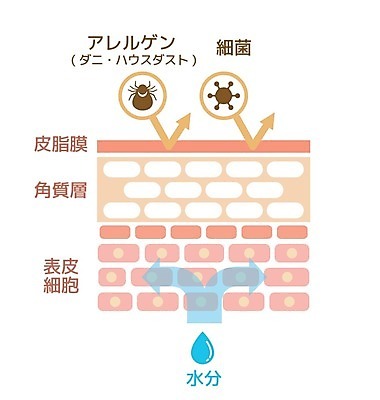 EPS 해외이미지 디자인 컨셉 신체 일러스트 비즈니스 부분 해부 학교 표면 세포 건강 사람 그래픽 치료 픽토그램 약 손상 감각 오르간 플랫 바이러스 보호 수분 피부 피부관리 그림 심플 층 박테리아 알레르기 고립 돌봄 엘리먼트 해외202009 해외일러스트 교육 의학 모션 신체부위 뷰티 건반악기 질병 파일형식 벡터