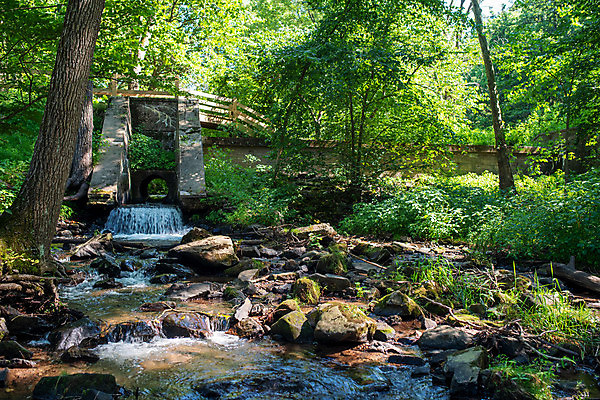 포토 JPG 해외이미지 나무 식물 공원 여행 백그라운드 잎 건축양식 자국 자연 건강 풍경 사람없음 야외 초록색 물 여름 강 평화 환경 폭포 하이킹 흐름 가을 바위 시골 신선 원형 개울 고독 숲 내추럴 해외202009 해외포토 자연요소 도형 계절 공공시설 건축 감정 컬러 컨셉 레저 돌_바위 생태계 파일형식