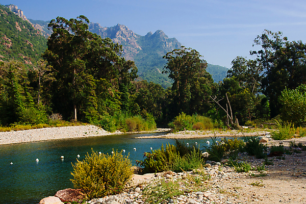 포토 JPG 해외이미지 나무 바다 섬 여행 자연 하늘 산 풍경 사람없음 야외 초록색 물 파란색 태양 항구 프랑스 만 지중해 프랑스어 해외202009 해외포토 자연요소 식물 문자 유럽 컬러 교통시설 생태계 파일형식