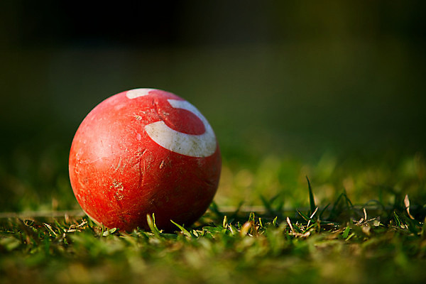 포토 JPG 해외이미지 공원 스포츠 백그라운드 밭 공 자연 놀이 아침 따뜻함 풍경 이벤트 잔디 초원 사람없음 야외 목재 빨간색 초록색 빛 태양 숫자 정원 경쟁 도전 게임 저녁 묘사 보케 블러 토너먼트 해외202009 해외포토 주간 자연요소 나무 식물 문자 공공시설 컬러 컨셉 농업 재료 야간 생태계 파일형식