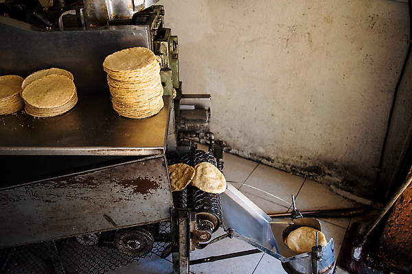 포토 JPG 해외이미지 전통 종이 문화 음식 채소 재료 자연 멕시코 건조 건강 옥수수 씨앗 사람없음 농작물 노란색 식사 저녁식사 흰색 신선 뜨거움 원형 황금 플러그 맛 상품 낟알 시리얼 유기농 질감 알맹이 반죽 밀가루 타코 내추럴 방앗간 고립 영양분 해외202009 해외포토 도형 식물 웰빙 컬러 컨셉 북아메리카 농업 곡류 가루 생태계 파일형식