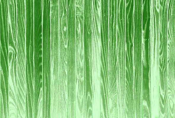 포토 JPG 해외이미지 나무 디자인 종이 벽 여행 백그라운드 패턴 건축양식 자연 벽지 추상 파노라마 미술 사람 사람없음 목재 장식 가로 초록색 여름 빛 갈색 문 우주 검은색 봄 공백 수확 파편 낟알 천 질감 복고 시트 내추럴 그런지 엘리먼트 옛날 해외202009 해외포토 식물 계절 건축 컬러 무늬 농업 재료 문화예술 촬영기법 직물 생태계 파일형식